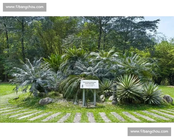 金杯赛非洲独苗：南非 2005 年的跨洋之旅