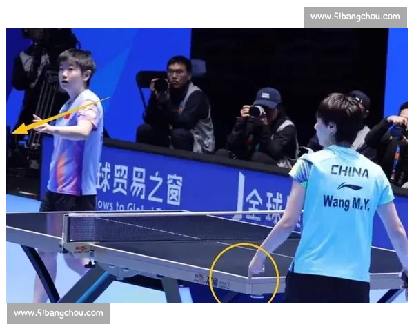 质疑与掌声并存,裁判判罚引发的羽毛球争议